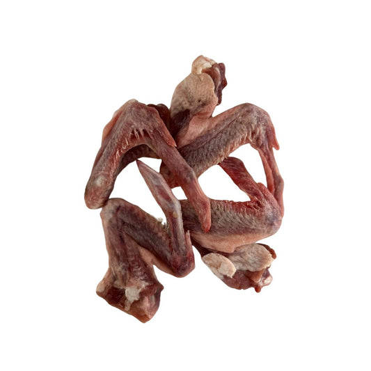 Duck Wings