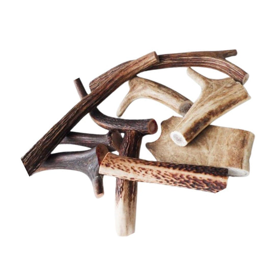 DEER ANTLERS