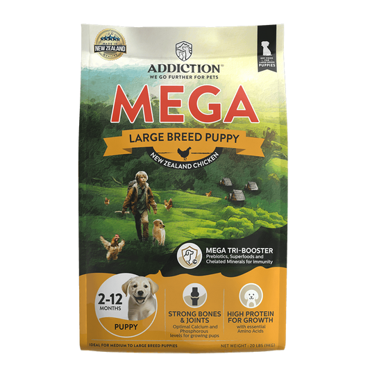 Addiction Mega Chicken Large Breed Puppy Dry Dog Food